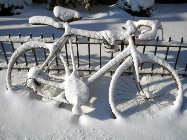 vélo hiver 2